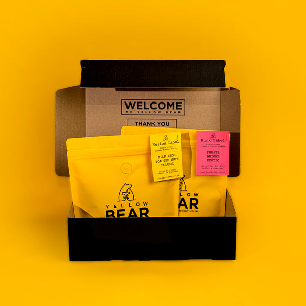Wild Bear Cubscription