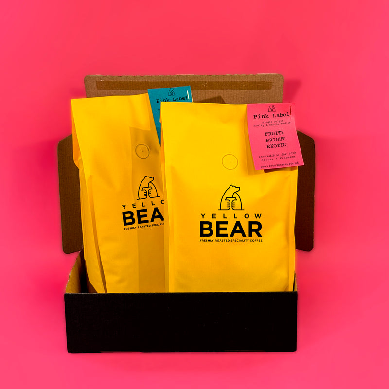 Wild Bear Cubscription