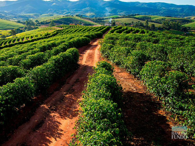 Fazenda Santa Cruz - BRAZIL