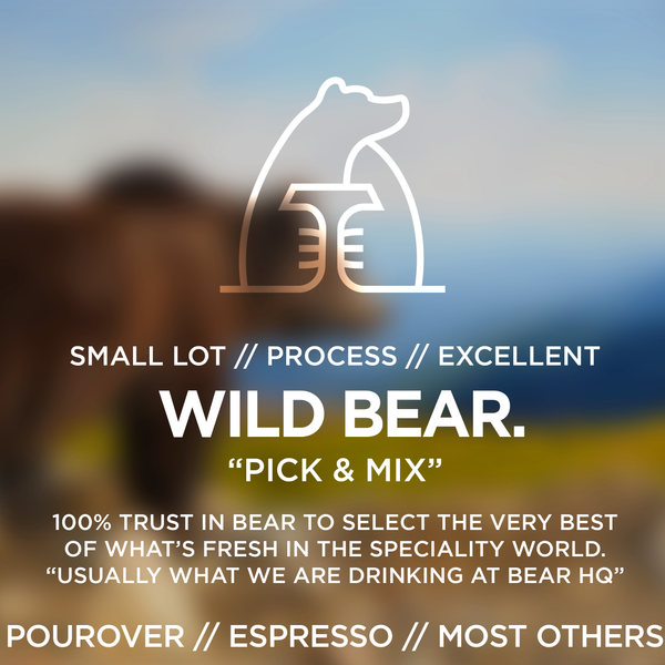 Wild Bear Cubscription