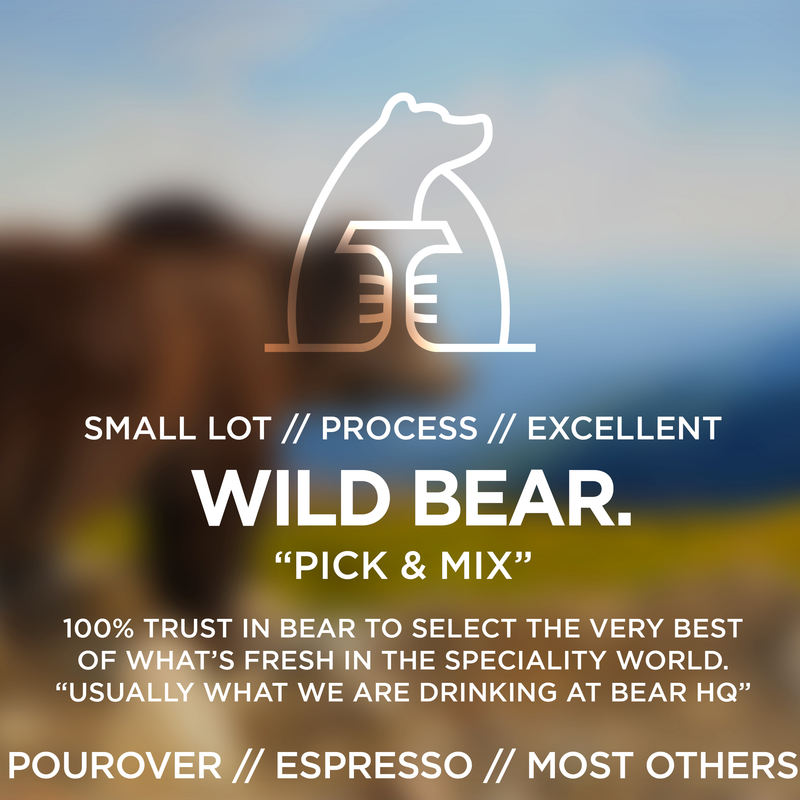 Wild Bear Cubscription