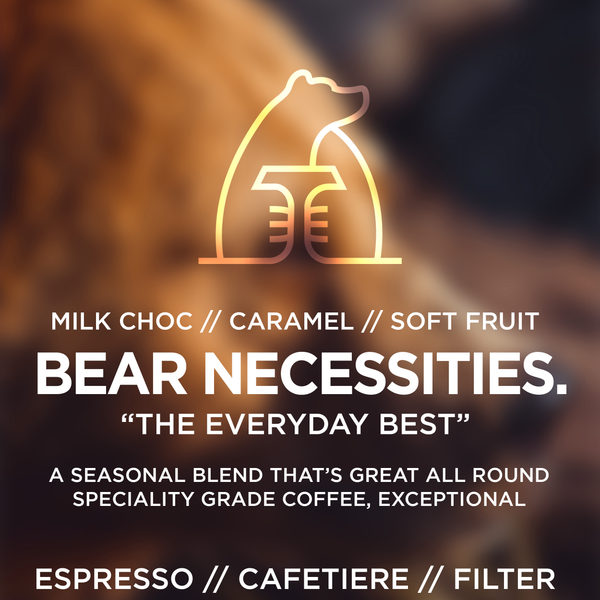 The BEAR. Cubscription (Legacy)
